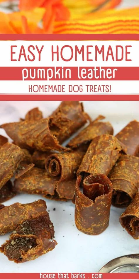 Using a dehydrator these pumpkin leather dog treats. Healthy, easy to make pumpkin leather for dogs - it's like a human fruit roll-up. Pumpkin Leather For Dogs, Thanksgiving Dog Treat Recipes, Dehydrated Pumpkin Dog Treats, Halloween Treats For Dogs, Dipped Dog Treats, Homemade Dehydrator, Pumpkin Puree Dog Treats, Pumpkin Dog Treats Homemade, Long Lasting Dog Treats Homemade