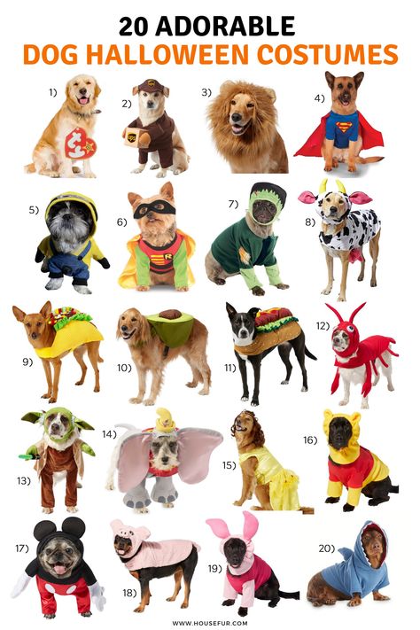 These adorable dog costumes are so cute! I do not know which one to buy for my dogs this year!! Halloween is so fun because it means you get to buy a costume for your dog! Dog Pair Costumes, Puppy Costumes Halloween, Easy Diy Dog Costumes For Halloween, Maltipoo Halloween Costumes, Puppy Costume For Dogs, Halloween Ideas For Dogs, Dog Hollowed Costumes, Costumes For You And Your Dog, Trio Halloween Costumes With Dog