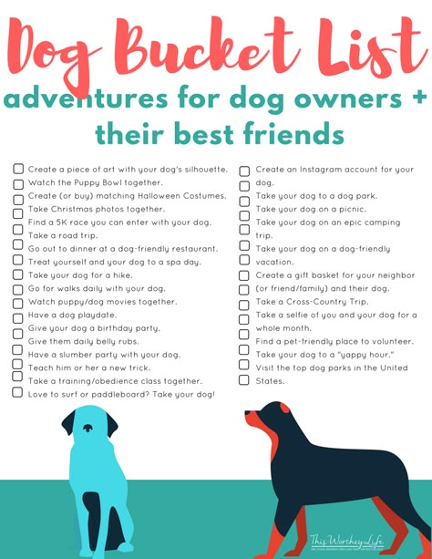 Humans have a bucket list, so why not have one for you and your dog to enjoy together?  Here is a FREE Dog Bucket List that you can print and decide on your adventures.  How many have you already completed? Dog Bucket List, Dog Mom Life, Dog Enrichment, Cairn Terriers, Dog Things, Dog Facts, Dog Info, Pet Ideas, Puppy Stuff