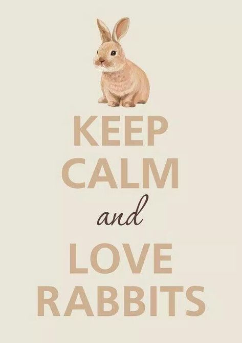 Keep calm, and LOVE Rabbits! ! ! Bunny Lady, Bunny Care, Some Bunny Loves You, Rabbit Care, Rabbit Hutches, Pet Bunny, Bunny Lovers, Honey Bunny