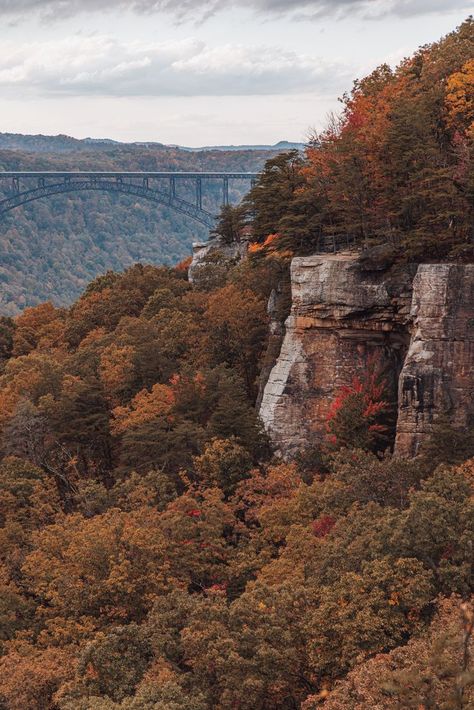 new river gorge national park New River Gorge National Park, Virginia Fall, Mammoth Cave, New River Gorge, Fall Break, New River, Take A Hike, Us National Parks, Great Smoky Mountains