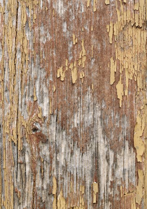 Background Wood Texture, Free Wood Texture, Painted Wood Texture, Wood Texture Seamless, White Wood Texture, Old Wood Texture, Fashion Show Poster, Concrete Background, Painted Backdrops