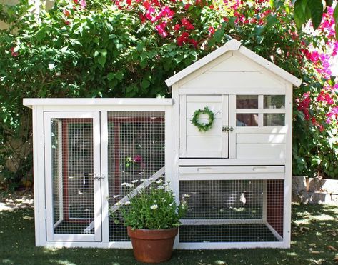 Double Rabbit Hutch, Bunny Hutches, Rabbit Hutch Plans, Outdoor Rabbit Hutch, Unique Rabbit, Bunny Cage, Hutch Ideas, Bunny Hutch, Rabbit Stuff