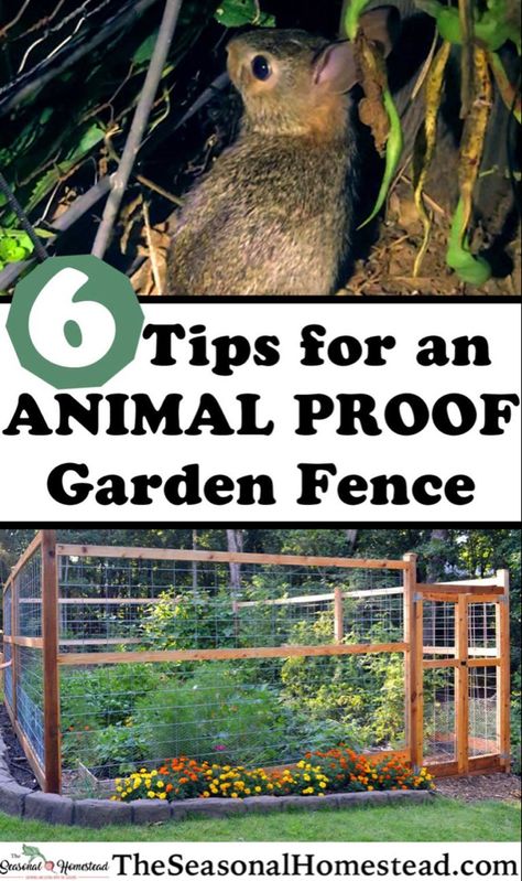 Fencing Vegetable Garden, Fencing For Raised Garden Beds, Vegetable Garden Fence Ideas Diy, Cute Garden Fence Ideas, Fenced In Vegetable Garden Ideas, Raised Garden Fence Ideas, Galvanized Wire Fence, Deer Proof Fence For Garden, Deer Proof Garden Fence Ideas