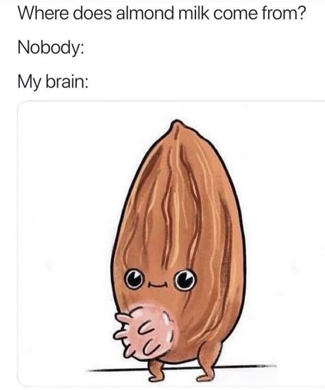 Brain Meme, Very Funny Pictures, Random Memes, Really Funny Pictures, Haha Funny, Really Funny Memes, Funny Pins, My Brain, Super Funny