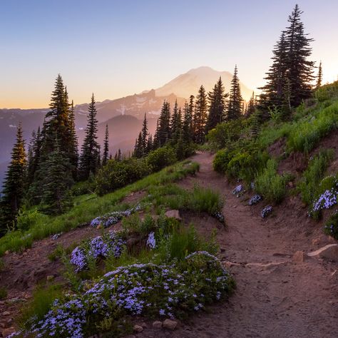 Pct Trail, Mountain Hiking Aesthetic, Mountain Vibes, Hiking Photography, Mountain Trail, Hiking Aesthetic, Nature Hikes, Pacific Crest Trail, North Cascades