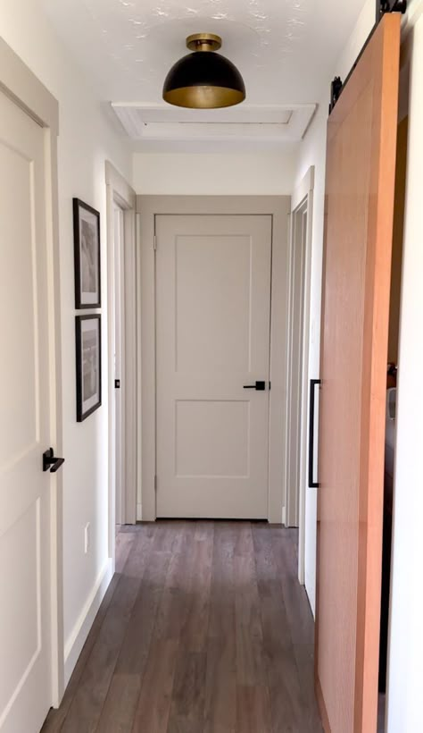 Modern Hallway Renovation You Can DIY - Megan Dauphinee Living How To Transform Old Doors, Amber Interiors Doors, Bedroom Doors Painted, How To Paint Indoor Doors, Hallway With Different Color Doors, Repainting Interior Doors, Hallway With Painted Doors, Hallway Door Paint Colors, Accent Doors Interior Paint Colors