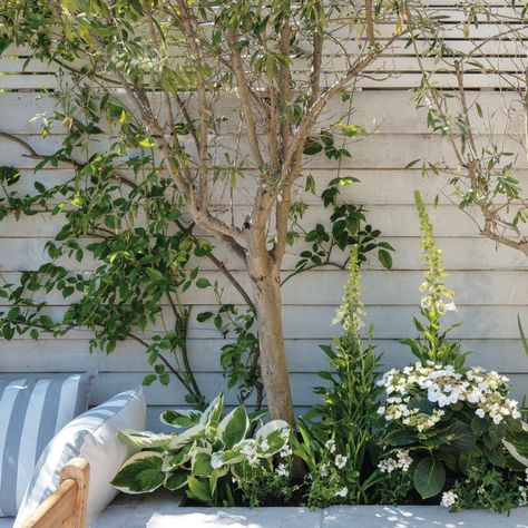 Best trees for small gardens, and how to help them thrive | Ideal Home Flower Bed Edging Ideas, Bed Edging Ideas, Garden Vision Board, Garden Combinations, Child Friendly Garden, Allotment Garden, Plants Under Trees, House Building Ideas, Flower Bed Edging