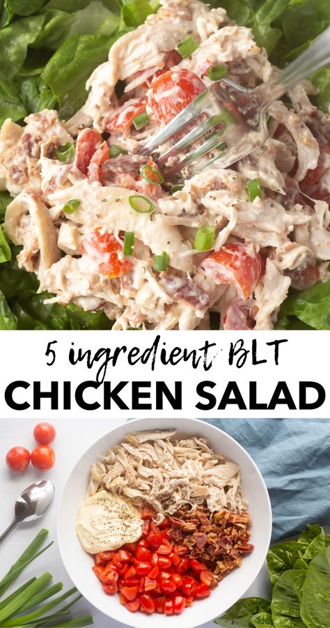 Keto Blt Chicken Salad, Chicken Salad With Tomatoes, Chicken Salad Blt, Chicken Blt Salad Recipe, Healthy Blt Chicken Salad, Chicken Salad Stuffed Tomatoes, Blt Chicken Salad Sandwich, Easy Chicken Salad Recipe Canned, Blt Chicken Salad Recipe