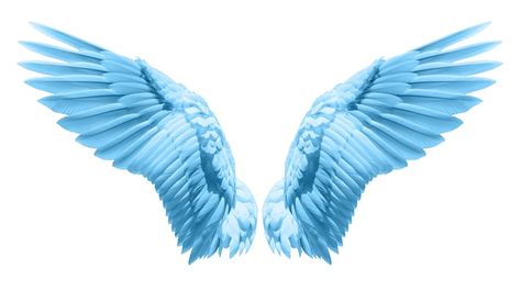 Photo natural blue wing plumage | Premium Photo #Freepik #photo #bird-wings #angel-wings #flying-eagle #freedom-bird Wings Artwork, Feather Background, الفن الرقمي, Wings Drawing, Fire Tattoo, Angel Drawing, Wings Art, Bird Wings, Blue Wings