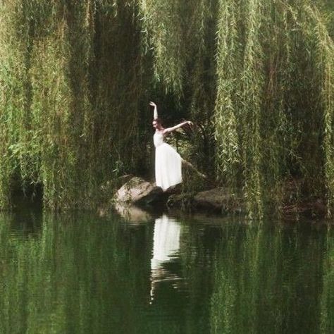 Odette Swan Lake, Hozier Songs, Swan Lake Aesthetic, Green Dark Academia, Weeping Trees, Fairytale Photoshoot, Lake Aesthetic, Green Academia, Fairy Photoshoot