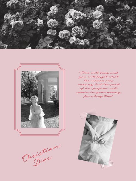 ФИРМЕННЫЙ СТИЛЬ | Rosamund | VISUAL IDENTITY :: Behance Santa Lucia, Minimal Web Design, Editorial Layout, Perfume Brands, Website Inspiration, Website Design Inspiration, Web Design Inspiration, 로고 디자인, Design Product