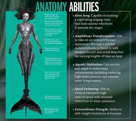 Siren Abilities, Siren Information, Siren Anatomy, Merfolk Dnd, Sirens Tv, Mermaid Mythology, Mermaid Stories, Siren Aesthetic, Siren Core