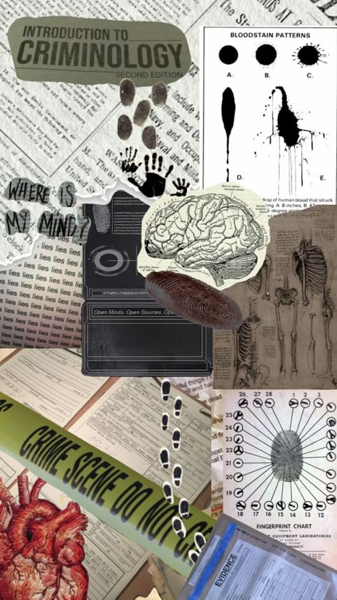 Forensic Psychologist Wallpaper, Forensic Psychiatrist Aesthetic, Forensic Science Wallpaper, Computer Forensics Aesthetic, Dream Job Aesthetic Forensic Psychology, Padayon Future Criminology Wallpaper, Forensic Investigator, Forensic Files Aesthetic, Introduction To Criminology