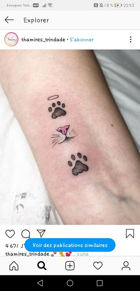 Cat Paw Print Tattoo Collar Bone, Cat Nose Print Tattoo, Cat Print Tattoo, Baby Owl Tattoos, Cat Paw Print Tattoo, Nose Tattoo, Cat Paw Tattoos, Body Enhancement, Tiny Paw Print