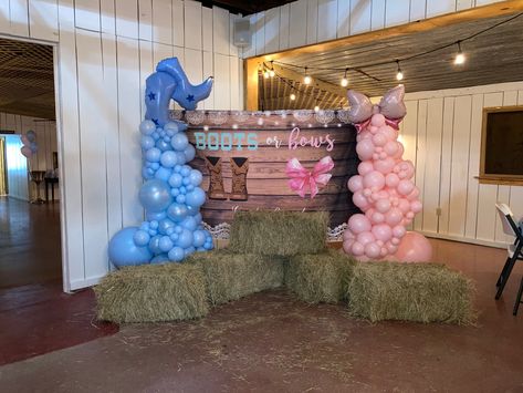 Gender Reveal Ideas Horses, Horse Theme Gender Reveal, Boots Or Bows Gender Reveal Backdrop, Boot And Bows Gender Reveal, Farm Style Gender Reveal, Gender Reveal Themes Western, Gender Reveal Ideas For Party Country Theme, Gender Reveal With Banda, Boots Or Bows Centerpieces