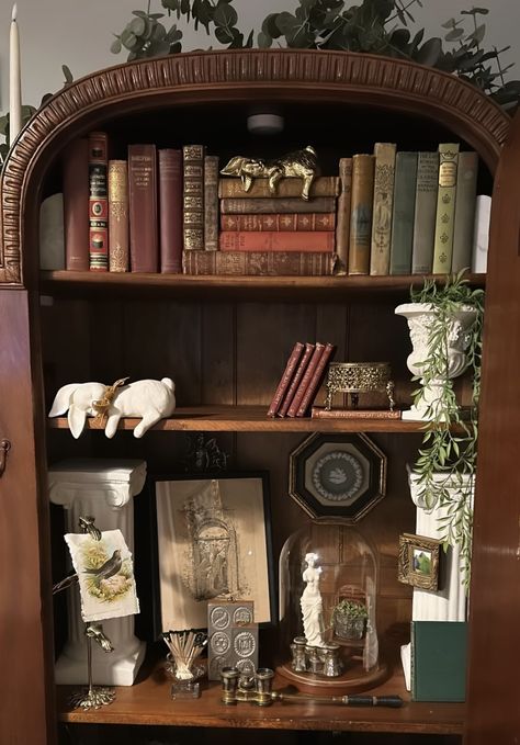 Bookshelf Styling Dark Academia, Vintage Styled Bookshelf, Chaotic Academia Bookshelf, Cottagecore Homes, Bookshelf Antique, Bookshelf Old Aesthetic, Shabby Vintage Decor, Witchy Room, Eclectic Living Room