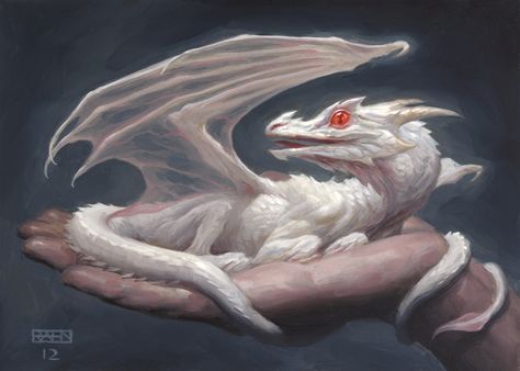 Chris Rahn, Baby Dragon Art, Dnd Dragons, Dragon Images, Dragon Rider, Dragon Pictures, White Dragon, Dragon Artwork, Fire Dragon