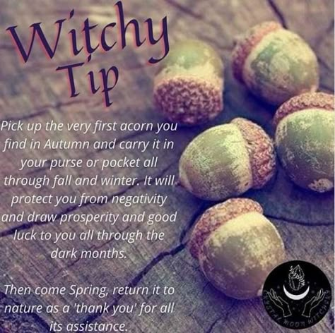 Acorns In Witchcraft, Acorn Witchcraft, Acorns Witchcraft, Acorn Symbolism, Acorn Magic, Sinus Congestion Relief, Congestion Relief, Green Witchcraft, Wiccan Magic