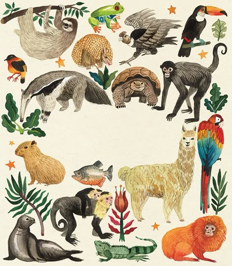 Tropical Animals Art, Travel Book Cover Design, Animal Book Cover, Travel Book Cover, Toucan Illustration, Jungle Travel, Wildlife Drawings, Wild Life Animals, Toucan Art