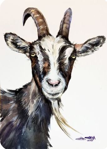 Goat Portrait, Goat Paintings, Farm Animal Paintings, White Goat, Goats And Sheep, Painting Impressionism, Goat Art, Farm Paintings, Afrikaanse Kunst