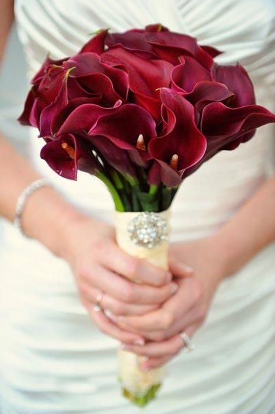 Red Bridal Bouquet, Calla Lily Bouquet Wedding, Burgundy Bouquet, Calla Lily Wedding, Calla Lily Bouquet, Red Bouquet Wedding, Red Wedding Flowers, Bridal Bouquet Fall, Red Bouquet