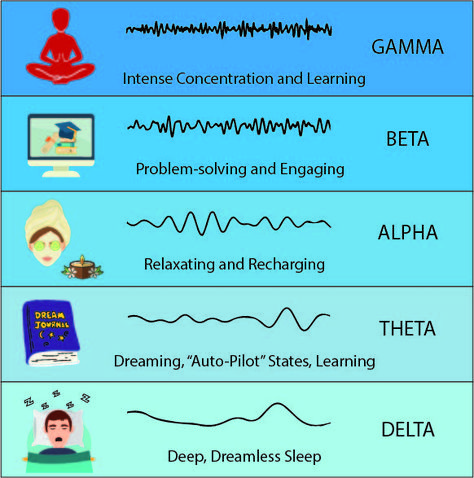 How to Manipulate Brain Waves for a Better Mental State — The Nexus Brain States, How To Manipulate Energy, Brain Anatomy And Function, Brain Waves Neuroscience, Meditation Benefits Brain, Brain Rewiring Neuroplasticity, Rewire Your Brain Neuroplasticity, Music Frequency Sound Waves, Nervus Vagus