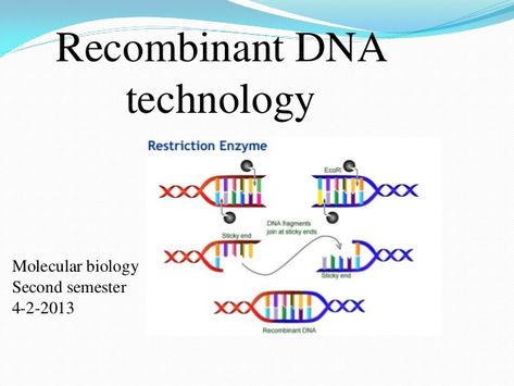 Dna recombinant technology Recombinant Dna Technology, Dna Poster, Dna Cloning, Recombinant Dna, Dna Polymerase, Dna Fingerprinting, Prokaryotic Cell, Dna Technology, X Chromosome