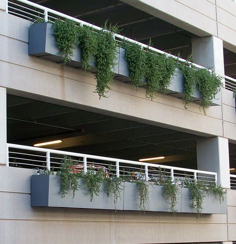 DeepStream Designs Hanging Box Planters Wilshire Railing Planters Ideas, Balcony Hanging Plants, Balcony Planter Boxes, Railing Planter Boxes, Rooftop Planters, Hanging Planter Boxes, Balcony Planters, Wall Mounted Planters, Railing Planters