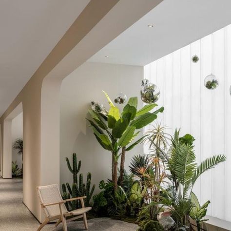 Meet the Trend: Biophilic Design 3 Tattoo Modern, Vstupná Hala, Vertikal Garden, Clinic Design, Interior Plants, Patio Interior, Office Plants, Cafe Interior Design, Deco Floral