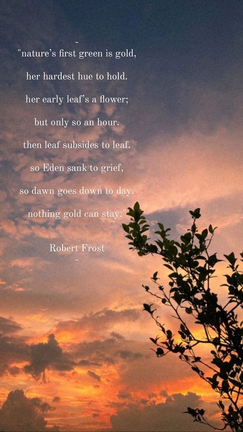 Robert Frost Nothing Gold Can Stay, Nothing Gold Can Stay Wallpaper, Nothing Gold Can Stay Poem, Stay Wallpaper, Robert Frost Quotes, Robert Frost Poems, Nothing Gold Can Stay, Discipline Quotes, Robert Frost