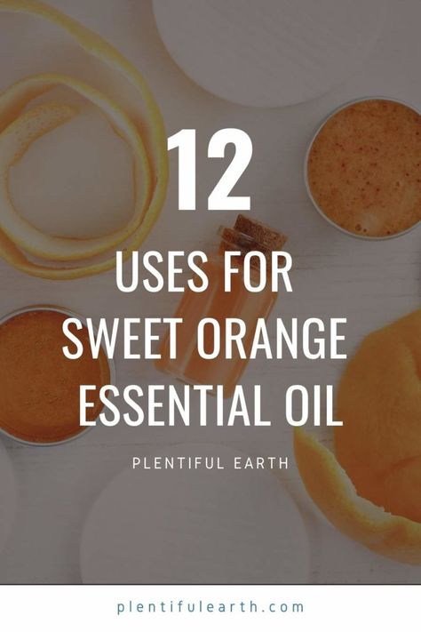 Sweet Orange Essential Oil Blends, Sweet Orange Essential Oil Benefits, Orange Oil Uses, Orange Oil Benefits, Orange Essential Oil Uses, Fragrance Oil Recipes, Orange Essential Oil Benefits, Orange Essential Oil Blends, Orange Cleaner