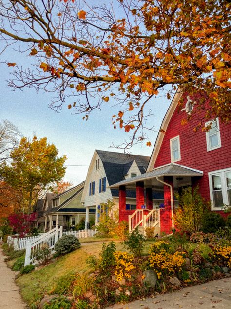 Michigan Fall Leave AnnArbor Cottage Houses Michigan Ann Arbor, Maine Fall Aesthetic, Michigan Aesthetic, Fall Michigan, Fall In Michigan, England Autumn, Maine In The Fall, Michigan Fall, Michigan Summer