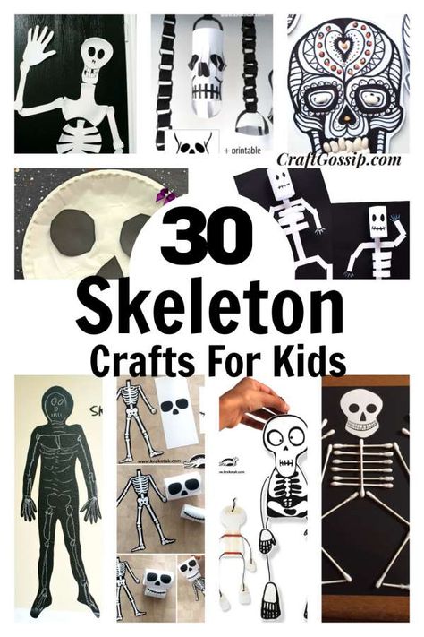 30 Skeleton Crafts For Halloween Skeleton Craft Preschool, Skeleton Crafts For Kids, Skeleton Activities, Crafts With Paper Plates, Human Body Skeleton, Fathers Day Crafts For Preschoolers, Skeleton Crafts, Diy Skeleton, Skeleton Craft