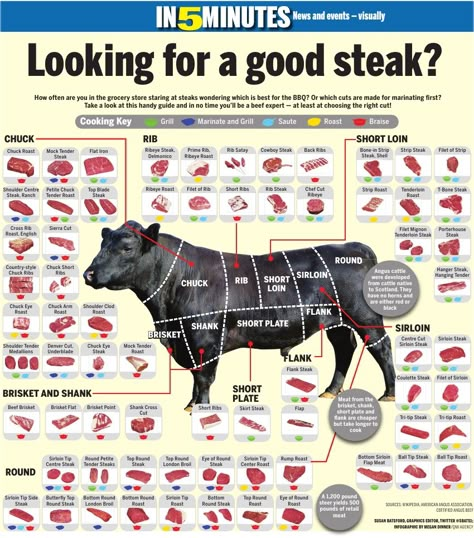 Beef Cuts [a 1200 lb steer hold 500 lbs of retail meat] Food Charts, Best Steak, Beef Cuts, Smoker Recipes, Food Info, Carne Asada, Meat Cuts, Food Facts, A Cow