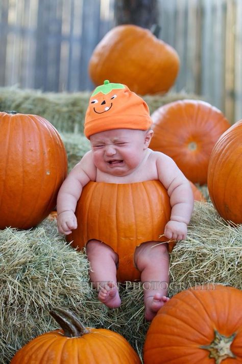 One Month Pumpkin Pictures, 7 Month Pumpkin Pictures, Halloween Pumpkin Baby Photoshoot, Baby I’m Pumpkin Pictures, Halloween Baby Pictures, Halloween Baby Photos, Baby Pumkin Shoot, Fall Baby Photos, Baby Holiday Photos