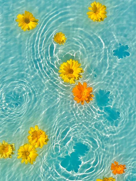 Pastel Yellow Summer Aesthetic, Yellow Water Aesthetic, Flowers Floating In Pool, Orange Water Aesthetic, Summer Bright Aesthetic, Vibrant Summer Aesthetic, Summer Colors Aesthetic, Bright Beach Aesthetic, Yellow Summer Wallpaper