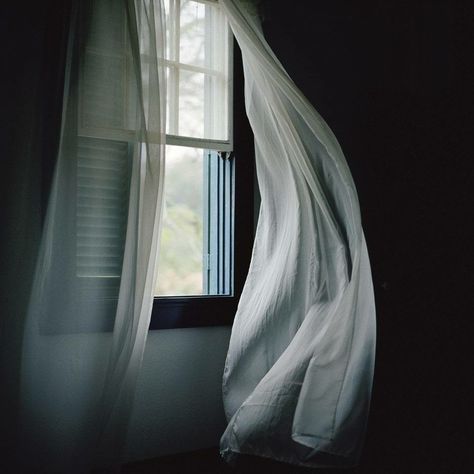 "You just need to be alone for a while. Until you feel yourself again." The Curtains, Window View, Open Window, Cinematic Photography, Through The Window, Light Texture, Light And Shadow, Background Design, In The Dark