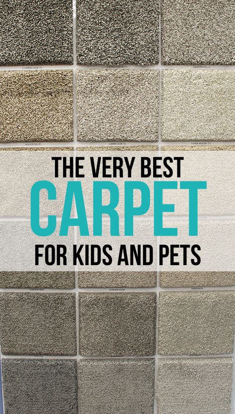 Carpet Diy, Basement Carpet, Neutral Carpet, Carpets For Kids, Kids And Pets, Date Photo, Carpet Styles, Home Carpet, Diy Carpet