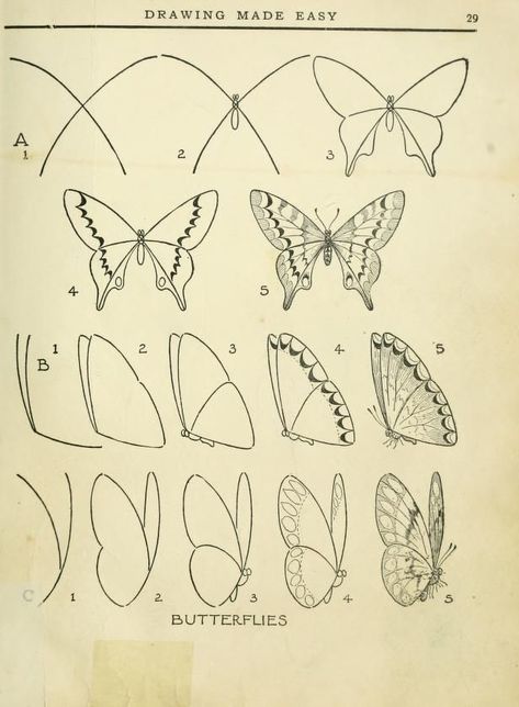 Foto: Gráficos que muestran como dibujar partes del cuerpo y otros   tutoriales inspiracion diseno diseno Modele Zentangle, Easy Butterfly Drawing, Art Papillon, Drawing Eyes, Drawing Faces, Butterfly Drawing, 캐릭터 드로잉, Mandala Drawing, Drawing Tutorials