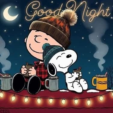 Facebook Brown Pics, Peanuts Quotes, Snoopy Quotes, Snoopy Friends, Snoopy And Friends, Always Forever, Night Quotes, Autumn Cozy, Days Of The Week