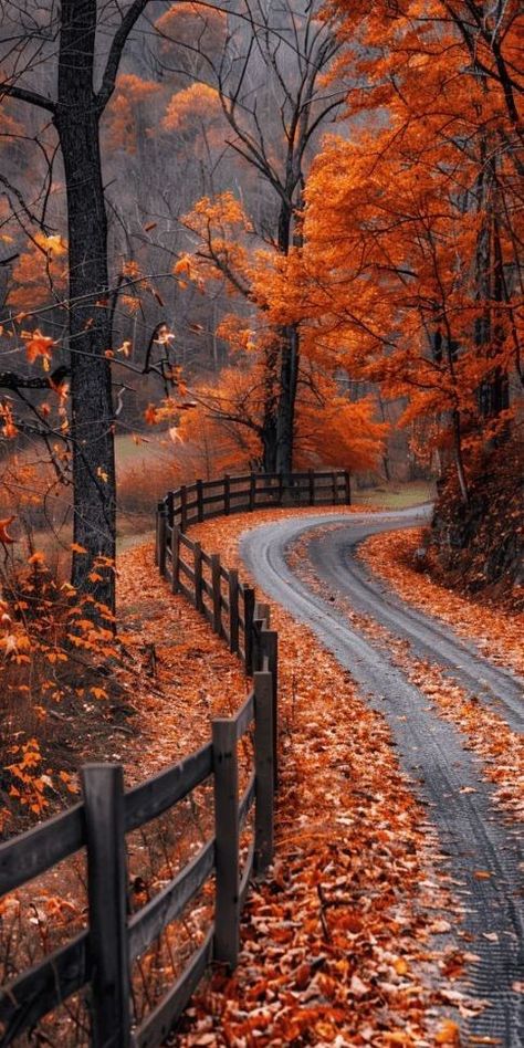 Beautiful Autumn Pictures, Happiness Wallpaper Aesthetic, Aesthetic Fall Images, Autumn Beauty Wallpaper, Autumn Wallpaper Phone, October Scenery, Beautiful Screensavers Phone Wallpapers, Autumn Pictures Art, Wallpaper Backgrounds Autumn