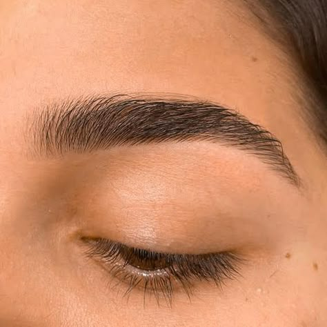 Eyebrow Claim, Soft Arch Brows, Eyebrow Inspo Natural, Soft Arch Eyebrows, Neat Eyebrows, Threaded Eyebrows, Symmetrical Eyebrows, Sharp Eyebrows, Good Brows