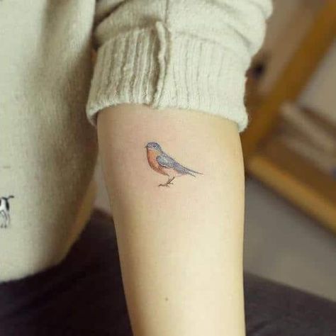 Blue Bird Tattoo, Sketch Faces, Robin Bird Tattoos, Robin Tattoo, Little Bird Tattoos, Bluebird Tattoo, Bird Tattoos For Women, Tattoo Bird, Small Tattoos With Meaning