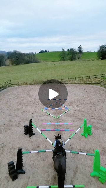 Megan Elphick - Equestrian vlogger on Instagram: "Testing Wilma’s straightness today with some funky polework. She seriously improved throughout the session, and also seemed to really enjoy herself. Love doing this kind of work to build up their ‘hoof eye coordination’. Spon | Polework inspired by the @poleworkpatternsapp and build out of @polyjumps poles 💜 🎥 @granitelensmedia" Horse Hoof, Horse Things, Ponies, Equestrian, Horses, On Instagram, Quick Saves, Instagram