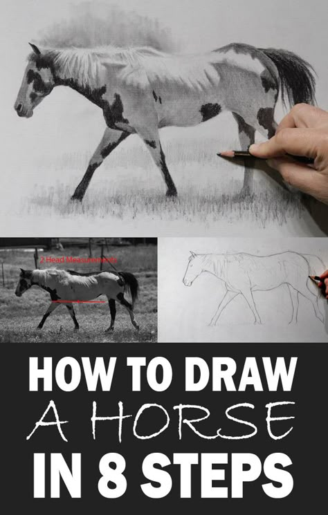 How To Sketch A Horse, Pictures Of Horses To Draw, How To Draw Horses Step By Step Easy, How To Draw A Realistic Horse, Drawing A Horse Step By Step, Drawing Horses Step By Step, How To Paint Horses, How To Draw Horse Face, How To Draw Horses Step By Step