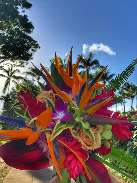 Flower Bouquet Tropical, Birds Of Paradise Wedding Bouquet, Birds Of Paradise Arrangement, Bird Of Paradise Wedding Bouquet, Hawaiian Flower Bouquet, Birds Of Paradise Bouquet, Tropical Wedding Theme Colors, Hawaiian Wedding Bouquet, Hawaii Bouquet