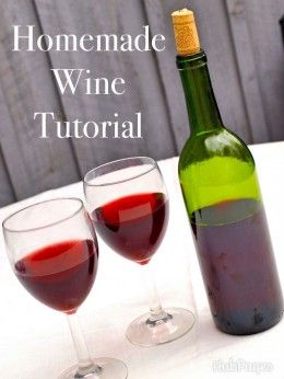 How to make Wine from Supermarket Grape Juice with no Special Equipment or Ingredients Pear Wine, Home Made Wine, Brandy Recipe, Wine Making Recipes, Homemade Wine Recipes, How To Make Wine, Wine Diy, Apple Wine, Peach Wine