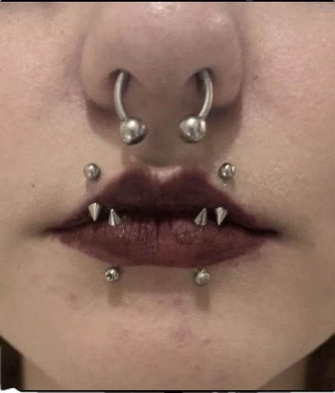 Angel Fangs, Snake Piercing, Lower Lip Piercing, Angel Bites, Upper Lip Piercing, Vertical Labret Piercing, Snake Bite Piercing, Irl References, Dnd Things