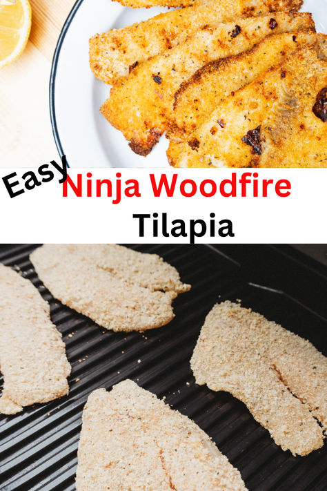 Ninja Woodfire grill  Tilapia tips and tricks designed to elevate your outdoor smoking game to the next level. From perfect sears to tantalizing flavors, become a woodfire grill pro now! #GrillingTips #WoodfireMastery, Smoker Cooking, Smoker Grill Recipes, Wood Fire Grill Recipes, Smoked Barbecue Recipes Ninja Wood Fire Grill Recipes, Ninja Smoker Recipes, Grill Meal Ideas, Ninja Woodfire Outdoor Grill Recipes, Grilled Tilapia Recipes, Ways To Cook Tilapia, Ninja Woodfire Grill Recipes, Ninja Grill Recipes, Wood Fire Grill Recipes